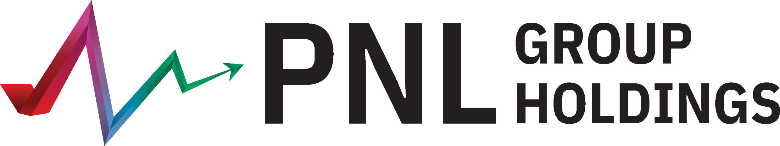 PNL Group Holdings